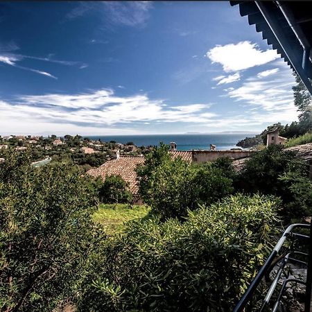 Petite Maison De Vacance Vue Mer Le Lavandou Eksteriør bilde